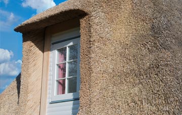 Bank Top thatch roof disadvantages