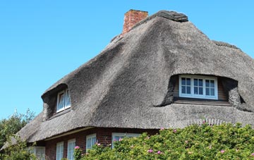 thatch roofing Bank Top